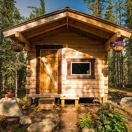 Blackburn Cabins - Mccarthy, Alaska Екстериор снимка