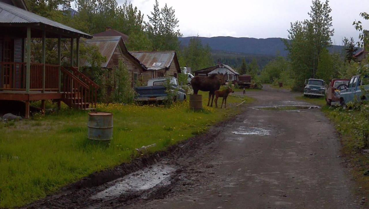 Blackburn Cabins - Mccarthy, Alaska Екстериор снимка