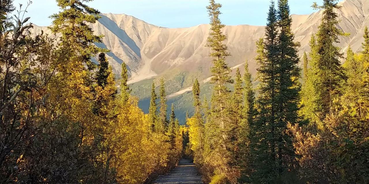 Blackburn Cabins - Mccarthy, Alaska Екстериор снимка
